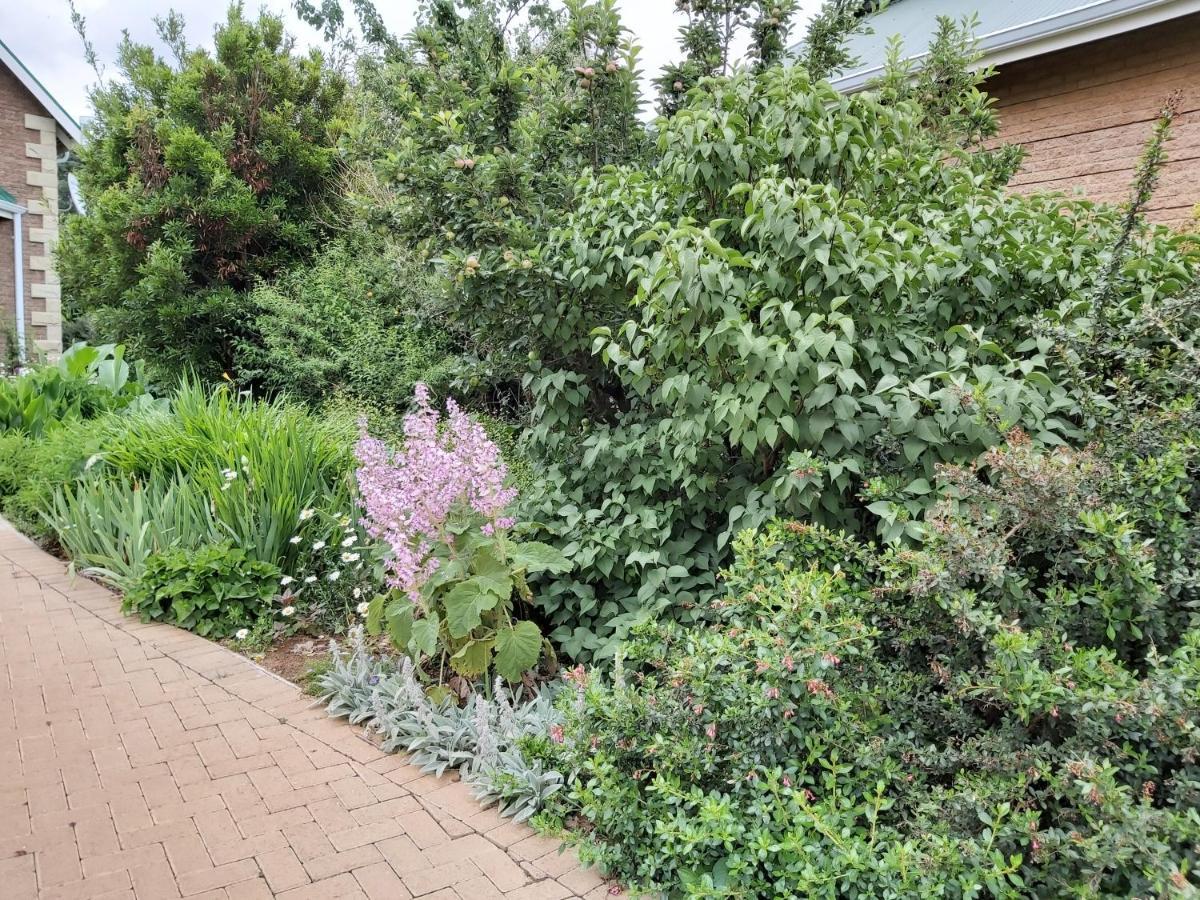 Clarens Mountain Sage Holiday House Exterior foto